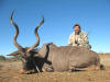 African Kudu and African Big Game