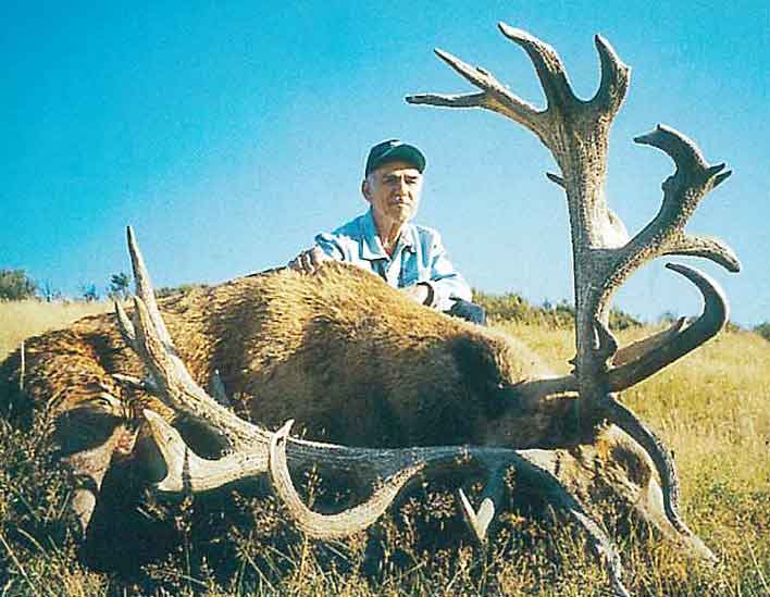 Red Stag hunting in New Zealand. Hunts for red stags with New Zealand Hunting Safaris.