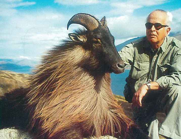 Tahr hunting in New Zealand. Hunts for tahr with New Zealand Hunting Safaris.