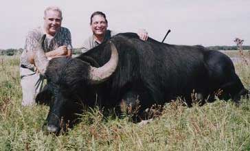 Water buffalo hunts in Argentina